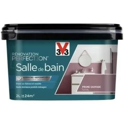 Peinture Salle De Bain V33 Rénovation Perfection Prune Sauvage 2 L